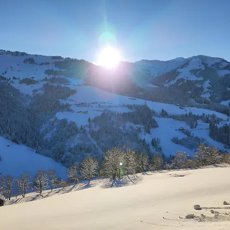 アパート Loiblgut