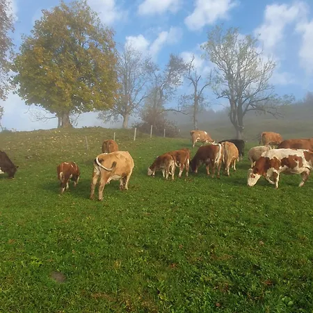 Loiblgut アパート *